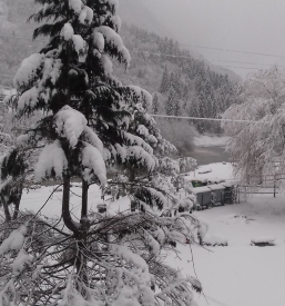 Poceni sobe za nočitev Lepena, Soča