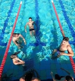 Šola plavanja Delfin