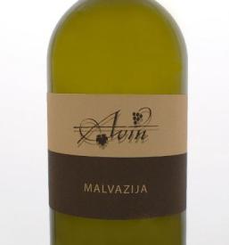 Vrhunska vina Slovenija