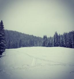 Poceni šola smučanja Pokljuka