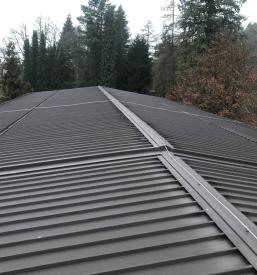 Dober in hiter tesar Dolenjska