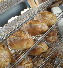 Odprta pekarna Šentjernej