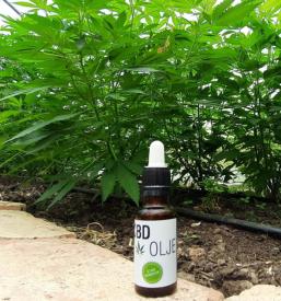 Nudimo prodajo medicinske konoplje za celo Slovenijo