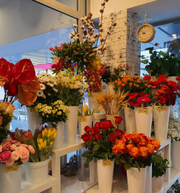 Cvetličarna Ljubljana