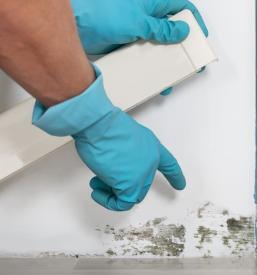 Strojni premazi Grosuplje, Ljubljana