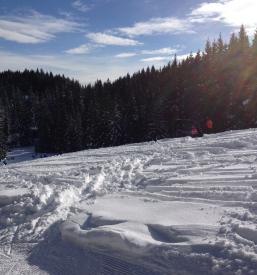 Smučanje na Pokljuki