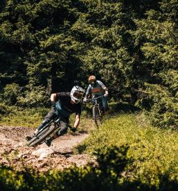 Popravilo koles Rocky Mountain Maribor