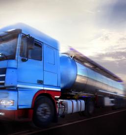Kamionski prevozi tovora po Sloveniji