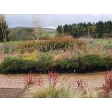 CASTELLUM D.O.O. FARA