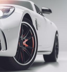 Poceni avtoklepar Rogaška Slatina