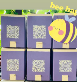 Apiterapija v Domžalah