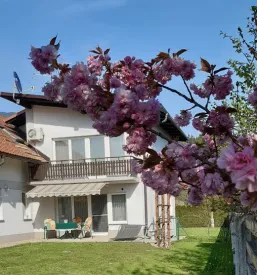 Najem apartmaja v Tržiču