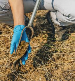 Geološko poročilo Celje, Slovenija