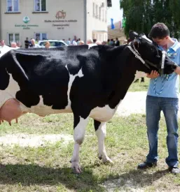 Dober kmečki turizem Pohorje