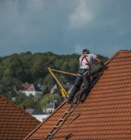 delavec na strehi