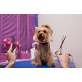 Aleksandra Kovač s.p.