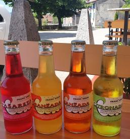 Najboljša restavracija Goriška