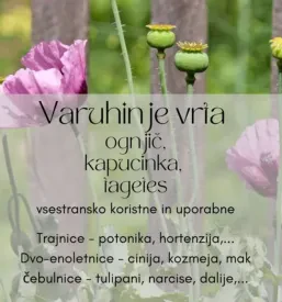 Krajinsko projektiranje Slovenija