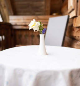 roža na mizi na balkonu v apartmaju Brina