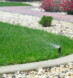 Kvalitetno urejanje vrtov in obrezovanje nizkega drevja Obala