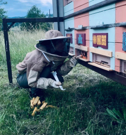 Dobro čebelarstvo Domžale