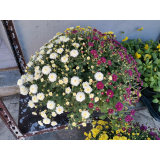 Kukar, cvetličarska in pogrebna dejavnost d.o.o.