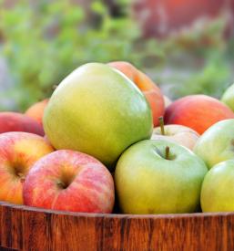 Domači kis Slovenija