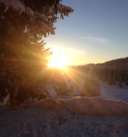 Prenočišča na Pokljuki