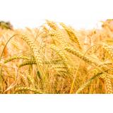 INTERTIL, trgovina in posredništvo, d.o.o.