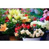 FLORISTIKA NASTJA MOROZ s.p.