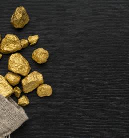 Investicija v naložbeno zlato Nova Gorica