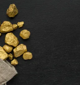 Investicija v naložbeno zlato Nova Gorica