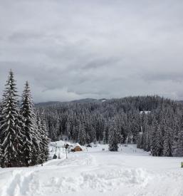 Rekreacija na Pokljuki