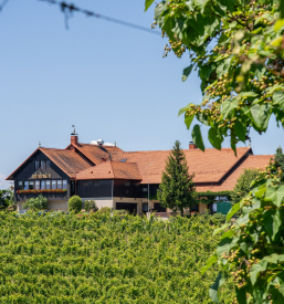 Private Feierlichkeiten, Jerusalem