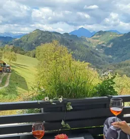 Najem apartmaja Gorenjska