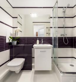 Prenova kopalnic Savinjska