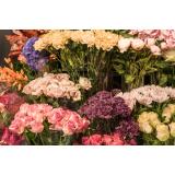 Cvetje Regina d.o.o.