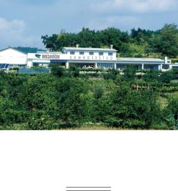 Kamnoseštvo Primorska