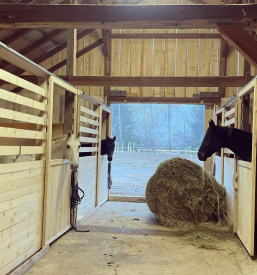 Jahalni klub Koroška