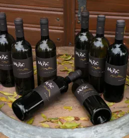 Buteljčna vina Vinarstva Mužič
