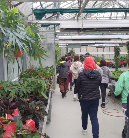 Vpis otrok v OŠ Celje