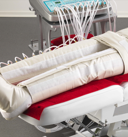 Pomlajevanje Ljubljana