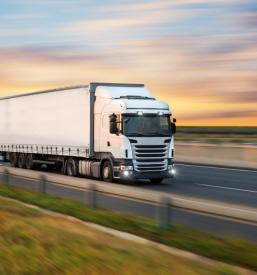 Mednarodni prevozi paletnega blaga Turčija