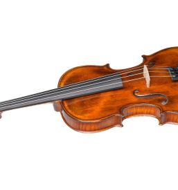 Nakup violine Gorenjska