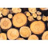 MK, Martin Kompara s.p.