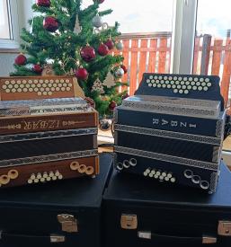 Kvaliteten servis harmonike Novo mesto, Dolenjska