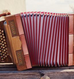 Servis harmonike Novo mesto