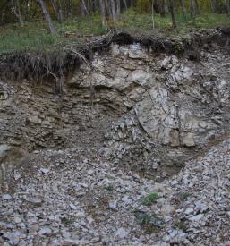 geološki prerez tal