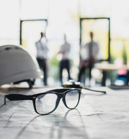 posvet s strokovnjaki