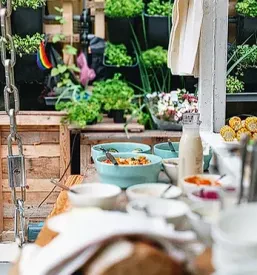 dober catering 